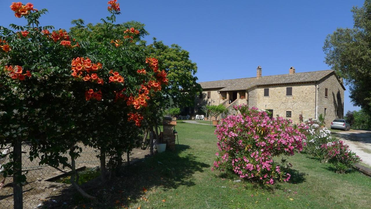 Agriturismo Podere Luchiano Amelia Kültér fotó