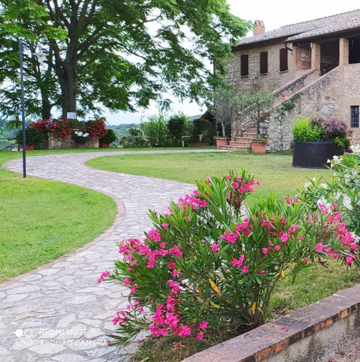 Agriturismo Podere Luchiano Amelia Kültér fotó