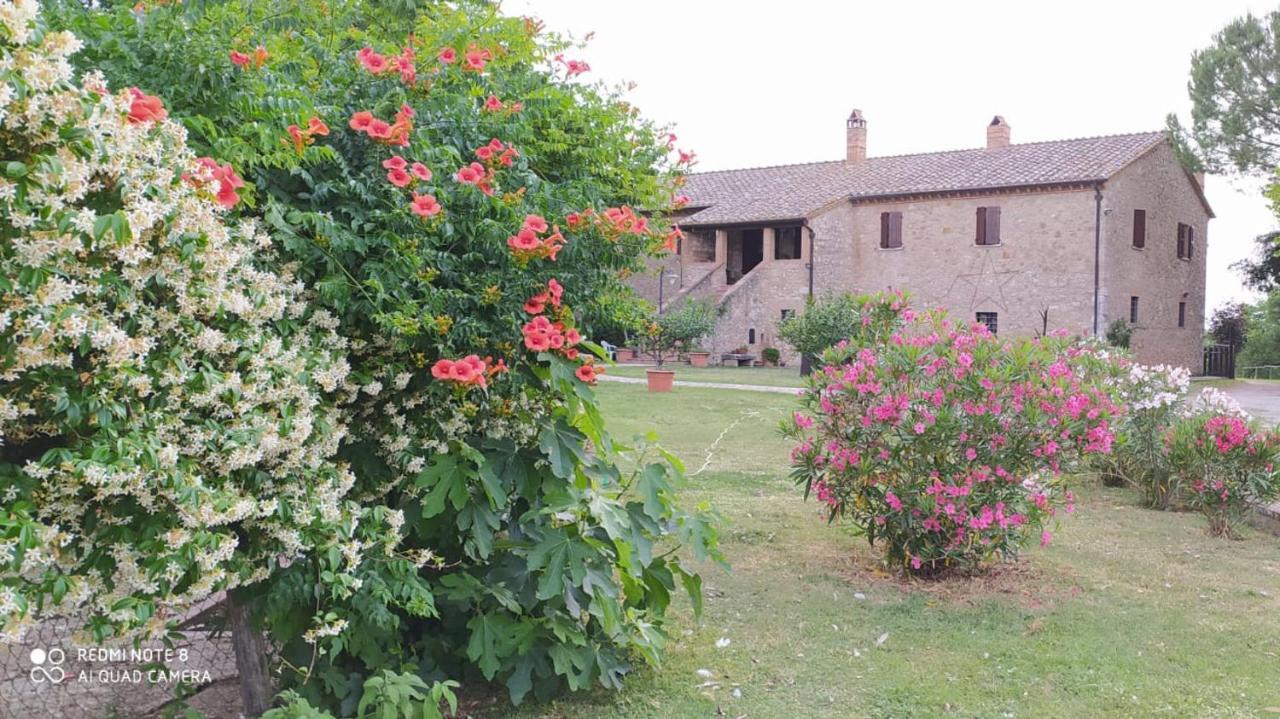 Agriturismo Podere Luchiano Amelia Kültér fotó