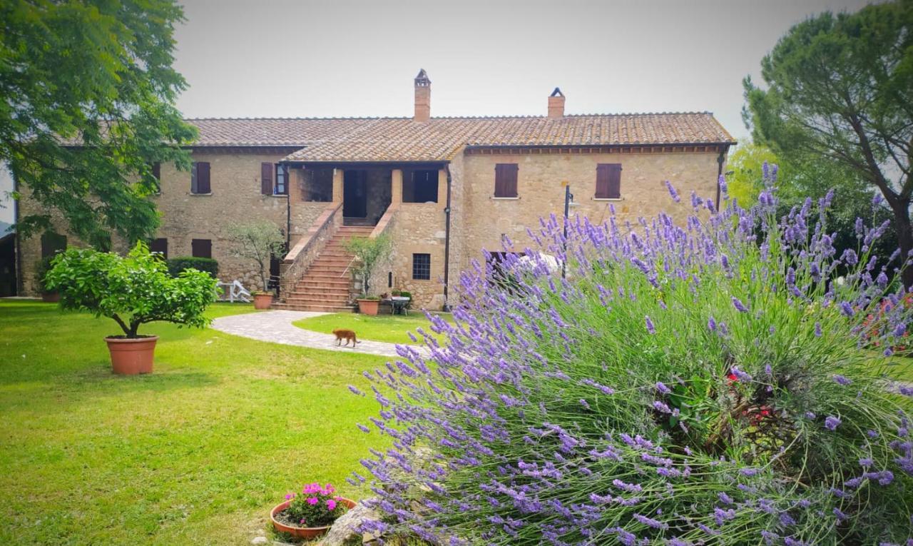 Agriturismo Podere Luchiano Amelia Kültér fotó