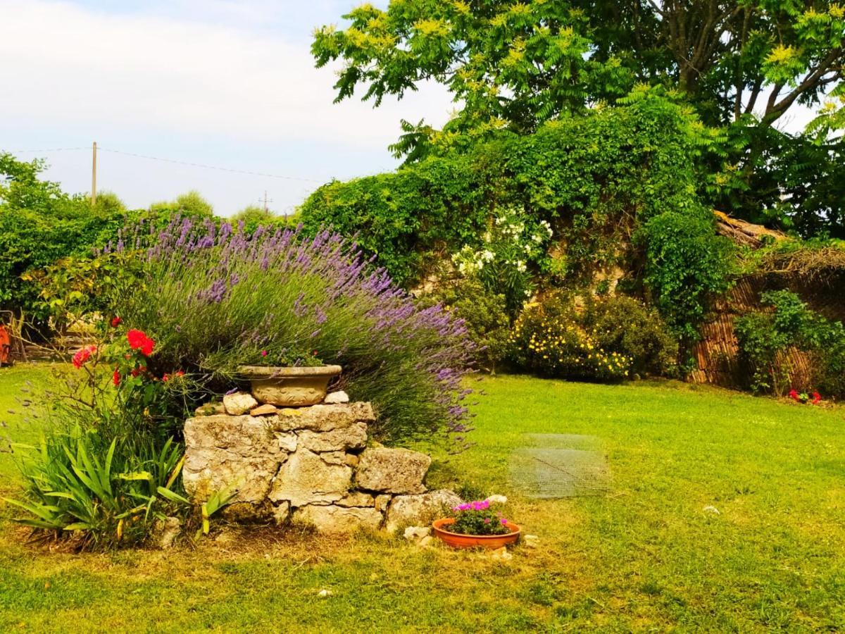Agriturismo Podere Luchiano Amelia Kültér fotó