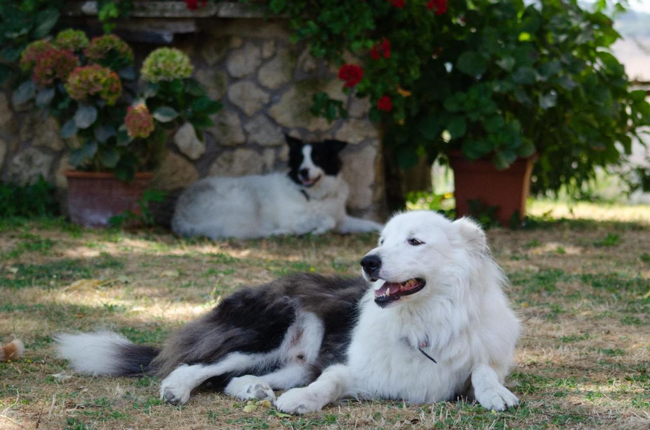 Agriturismo Podere Luchiano Amelia Kültér fotó