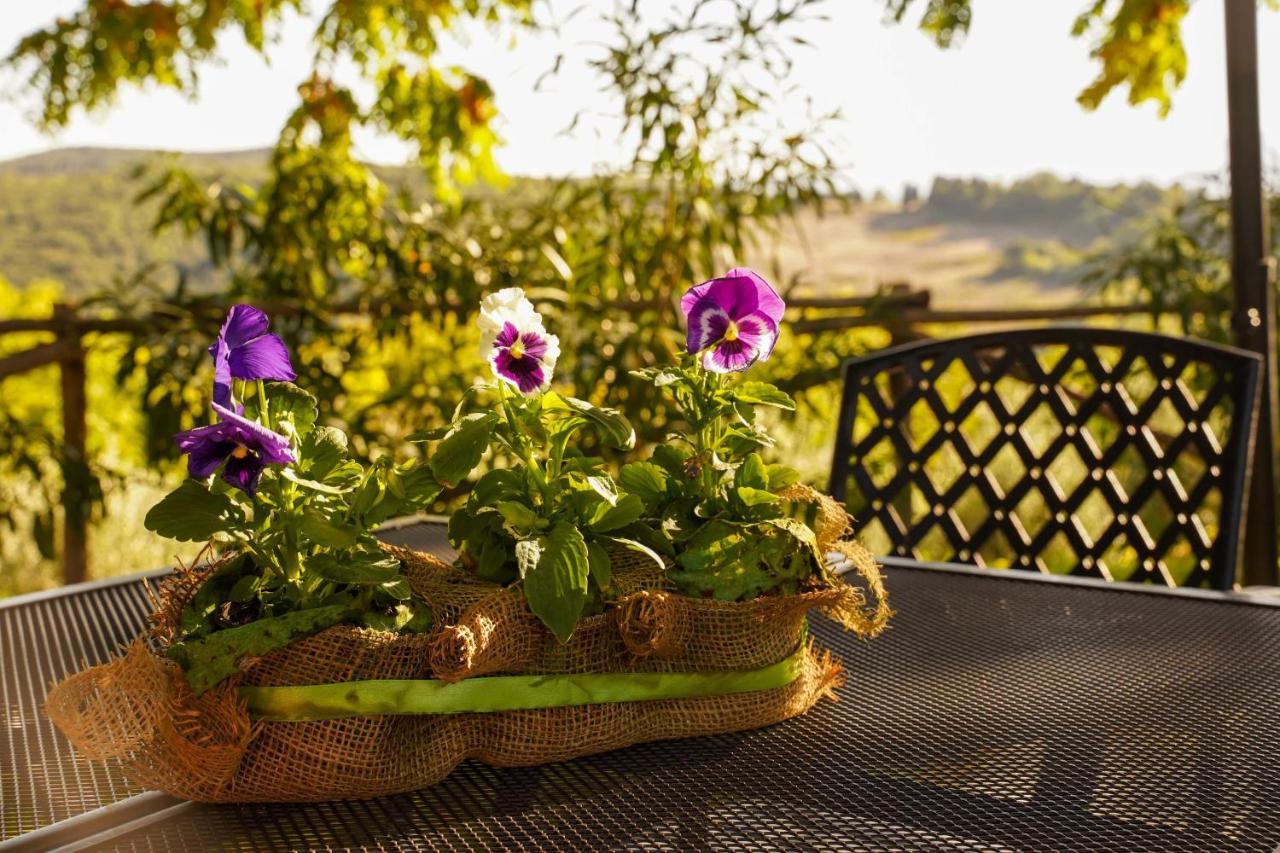 Agriturismo Podere Luchiano Amelia Kültér fotó