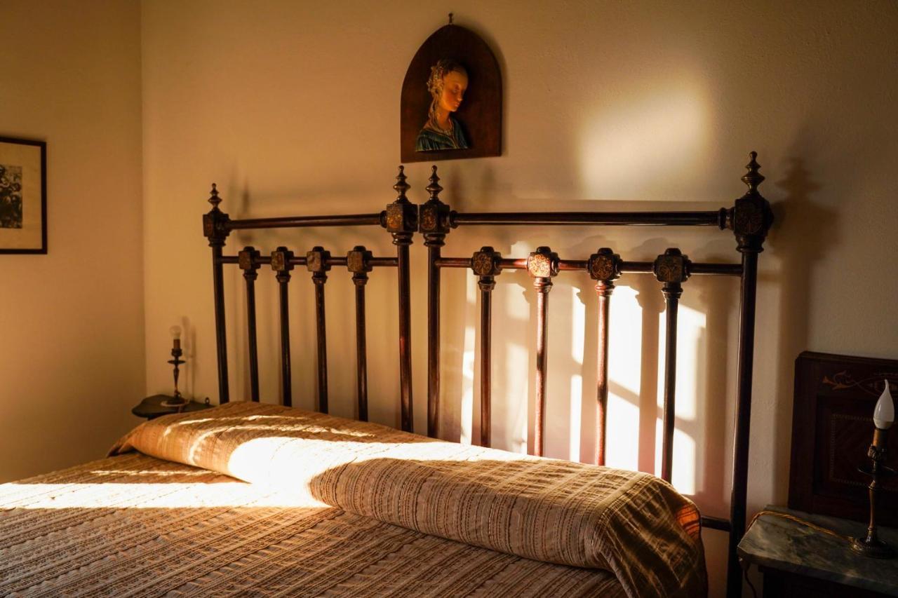 Agriturismo Podere Luchiano Amelia Kültér fotó