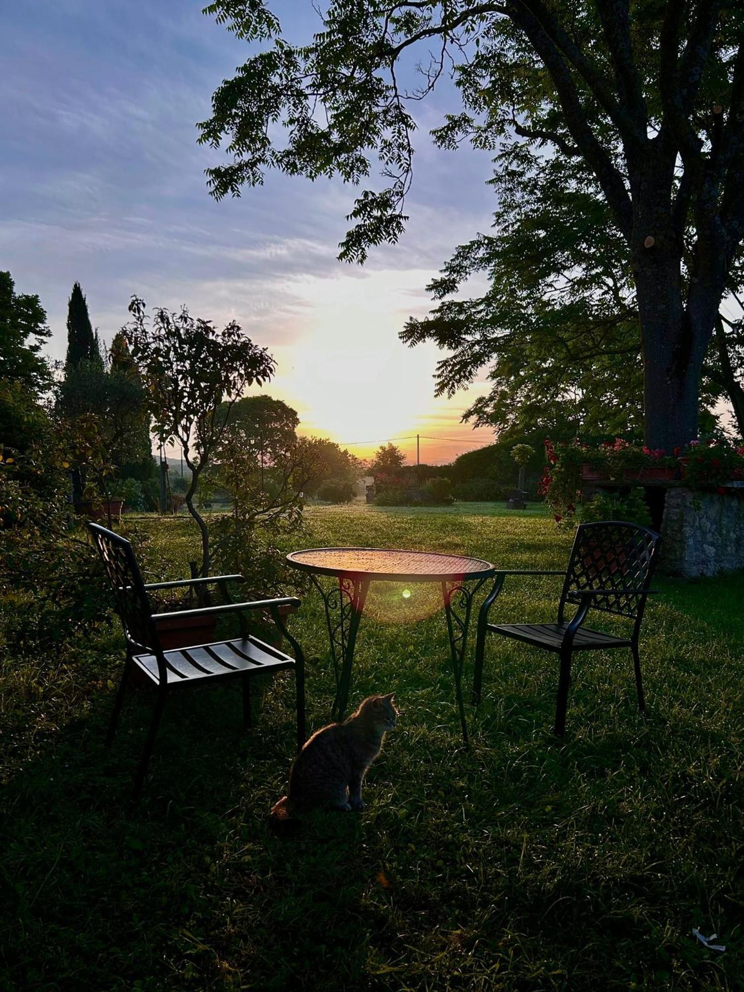 Agriturismo Podere Luchiano Amelia Kültér fotó