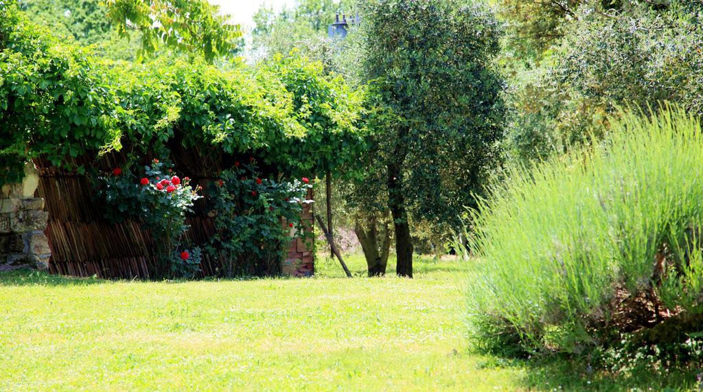 Agriturismo Podere Luchiano Amelia Kültér fotó