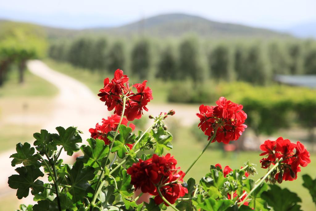 Agriturismo Podere Luchiano Amelia Kültér fotó