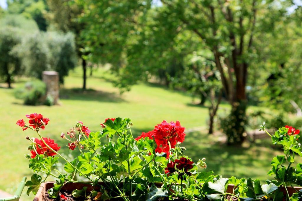 Agriturismo Podere Luchiano Amelia Kültér fotó
