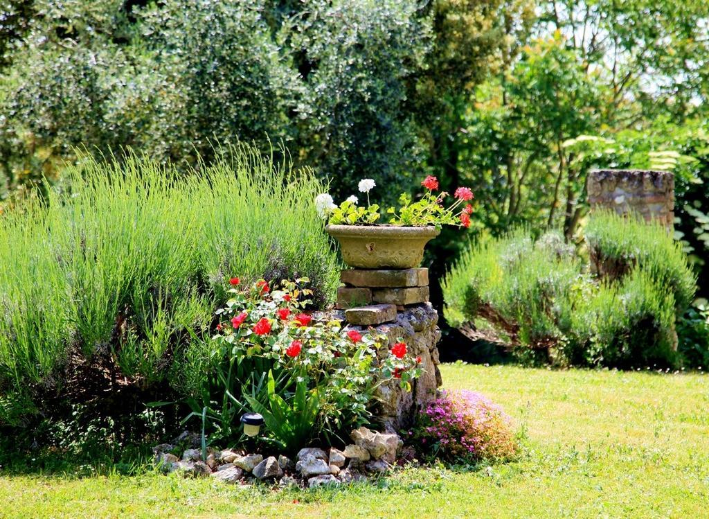 Agriturismo Podere Luchiano Amelia Kültér fotó