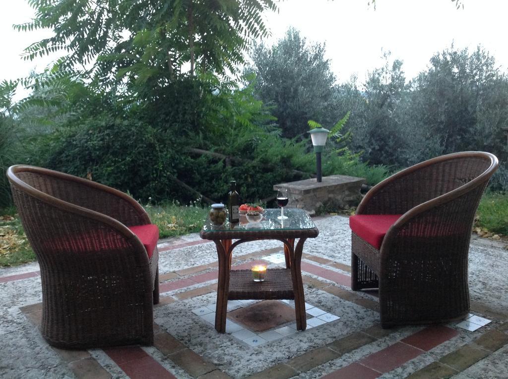 Agriturismo Podere Luchiano Amelia Kültér fotó