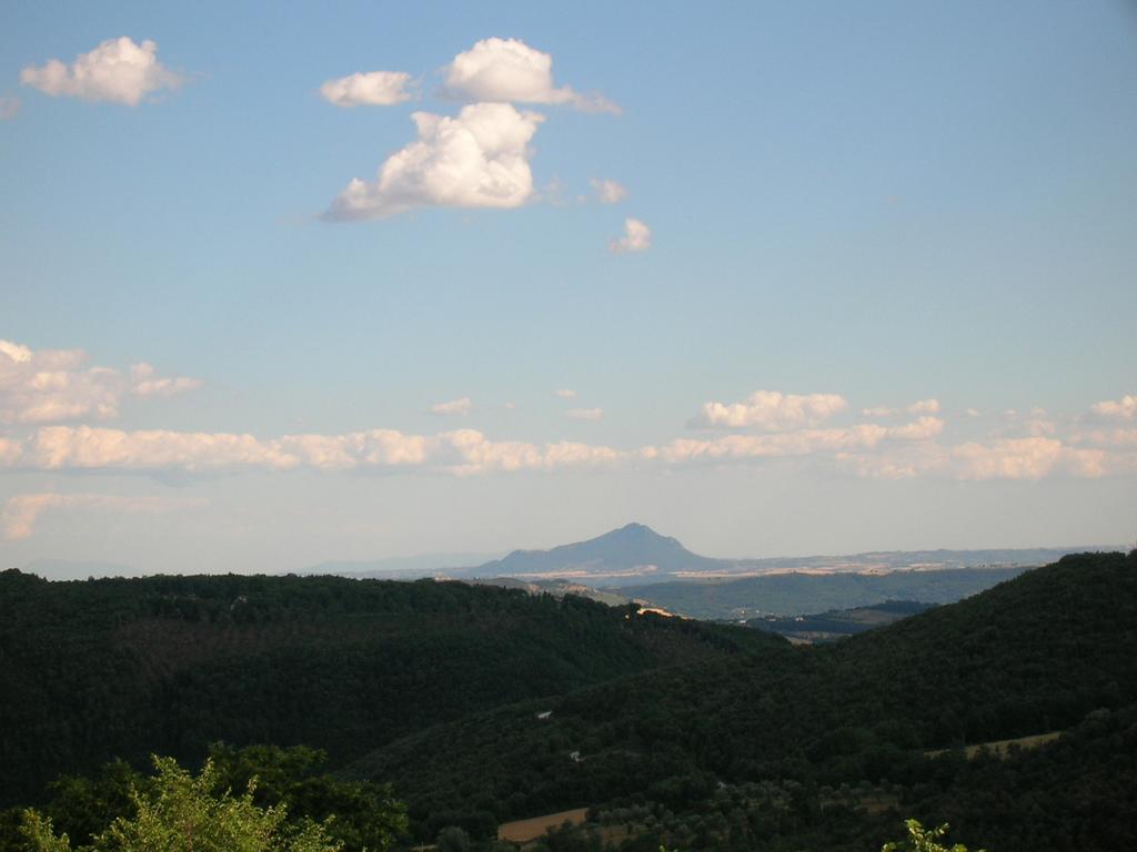 Agriturismo Podere Luchiano Amelia Kültér fotó
