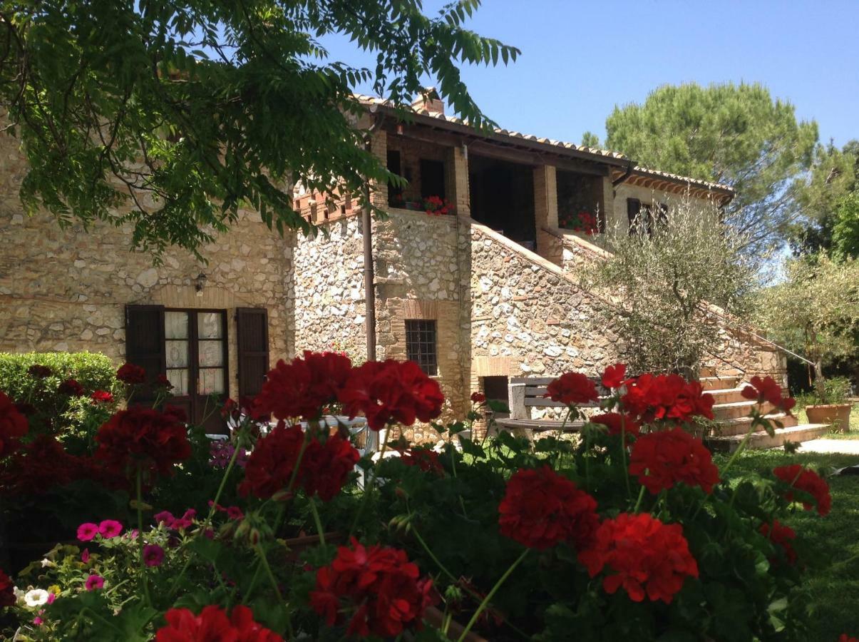 Agriturismo Podere Luchiano Amelia Kültér fotó