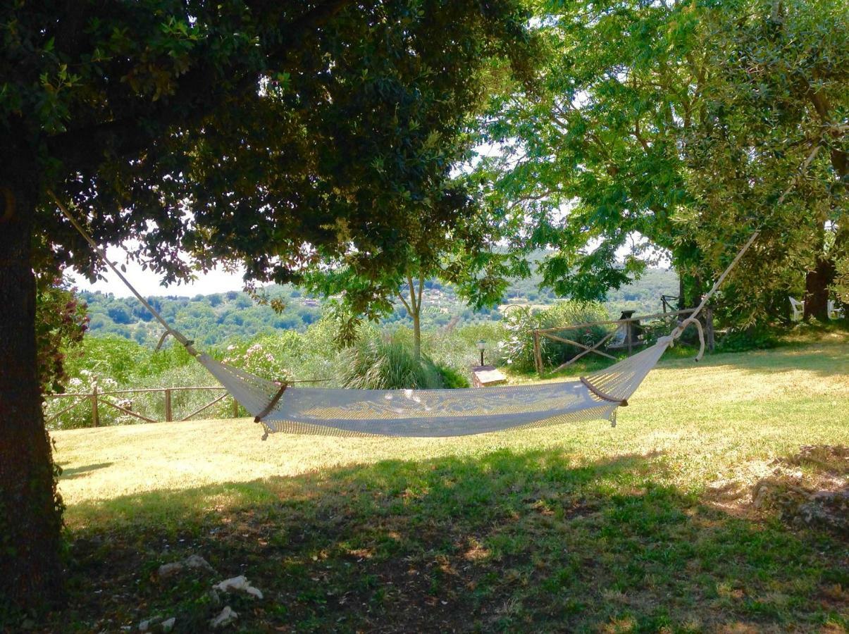 Agriturismo Podere Luchiano Amelia Kültér fotó