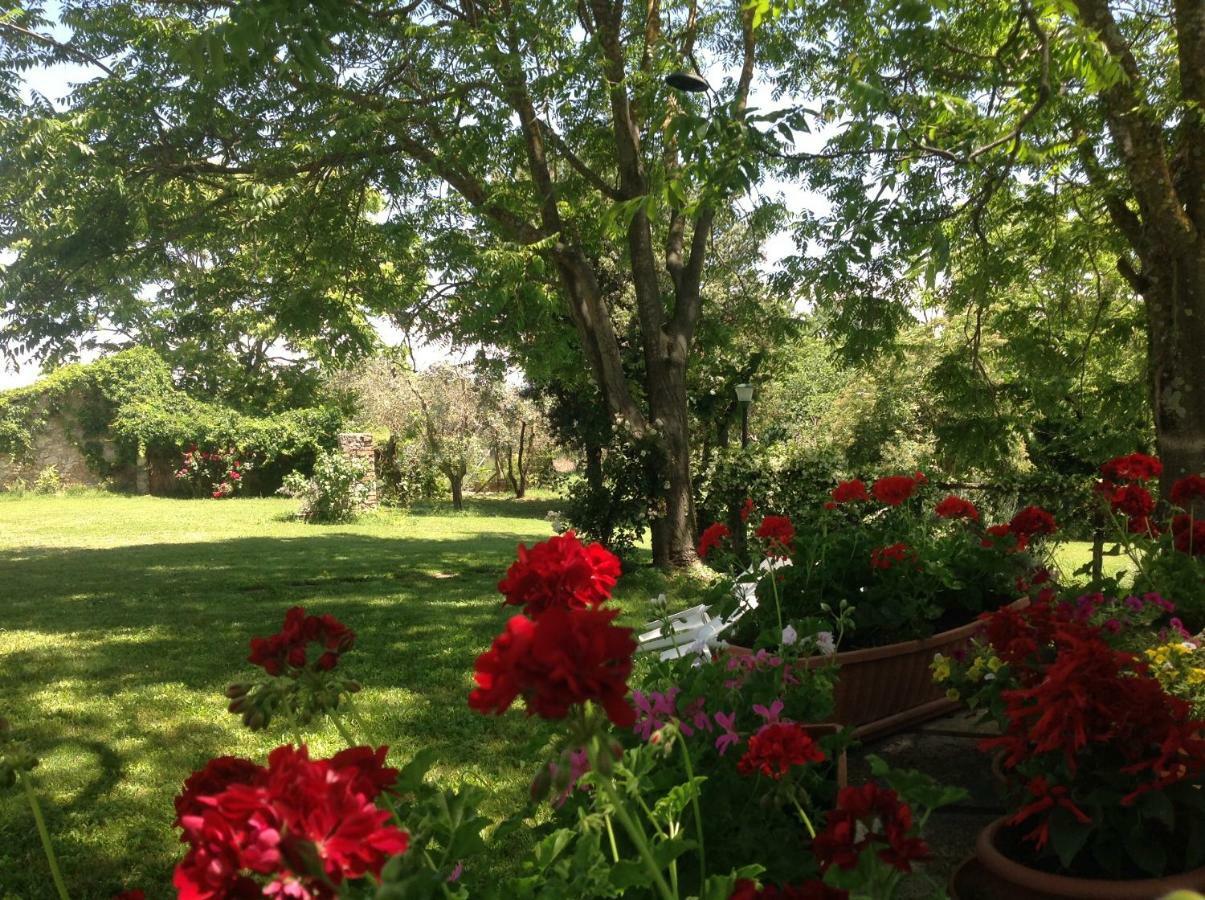 Agriturismo Podere Luchiano Amelia Kültér fotó